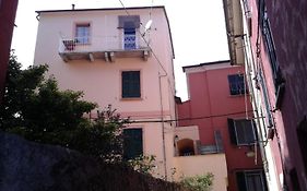 Il Nido Delle Taccole