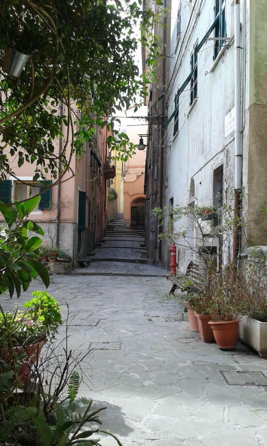 Appartement Il Nido Delle Taccole à Fezzano  Extérieur photo